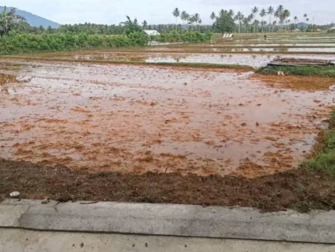 Dua Bulan Laporan GPM dan PSMP terhadap PT JAS dan PT ARA Mengendap di Polda Malut