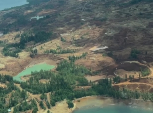 Terbukti Langgar Aturan, Tambang Nikel PT Karya Wijaya Dihukum Denda Setengah Triliun