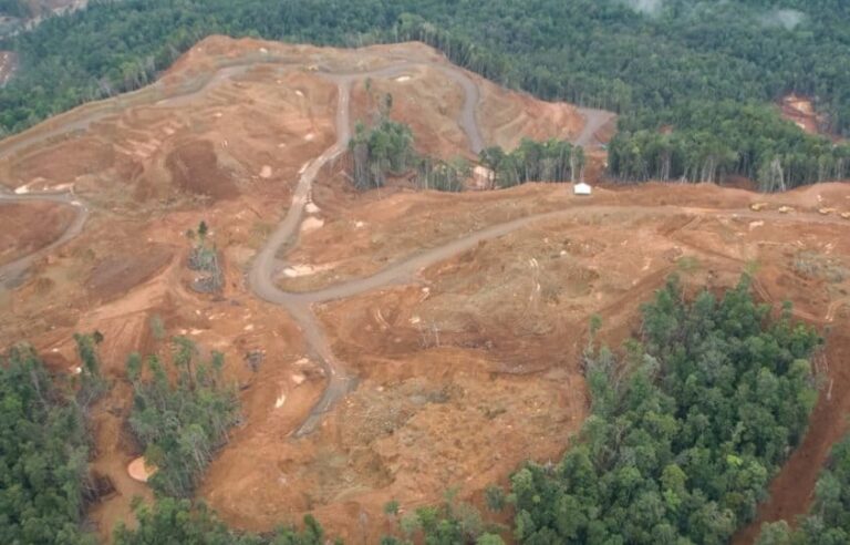 HILIRISASI YANG MENELAN HUTAN