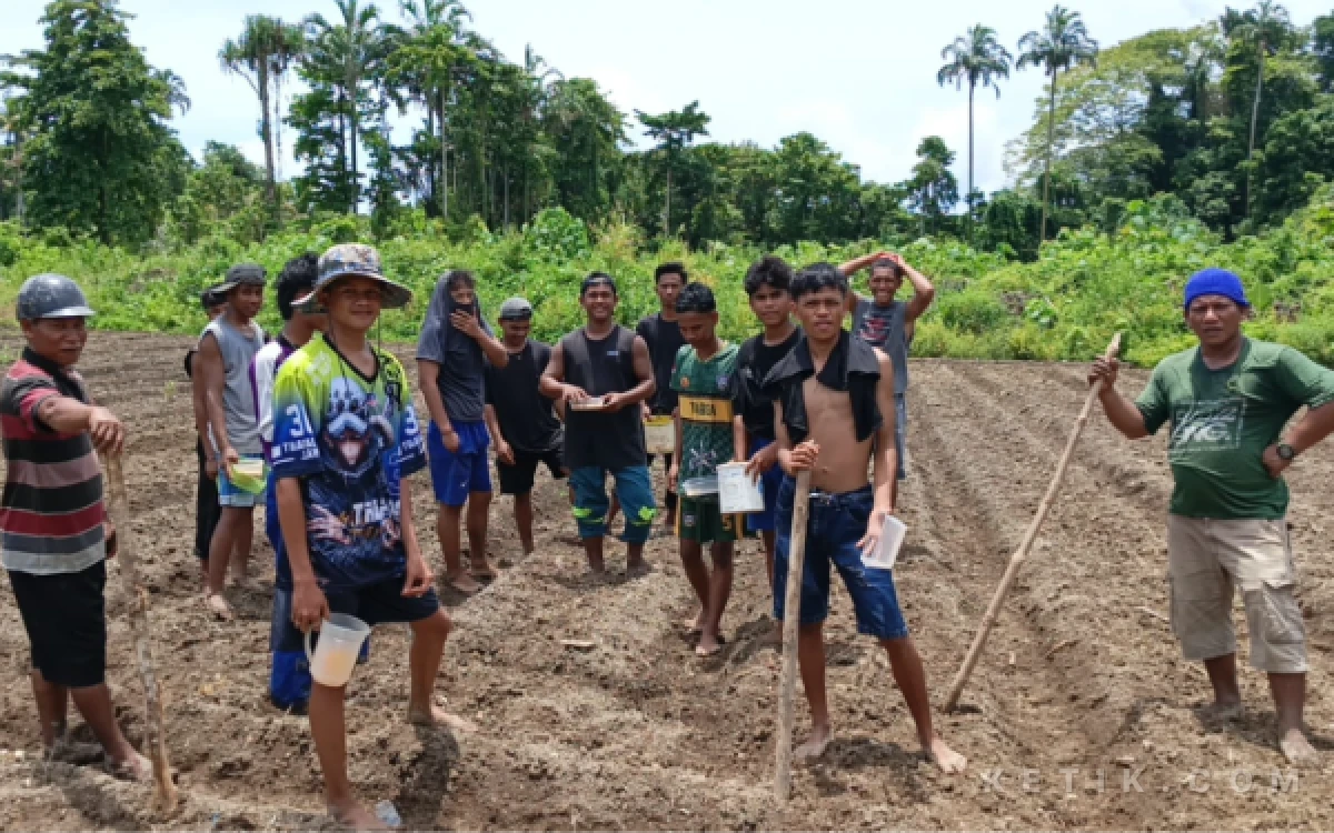 2026040520310210016808410